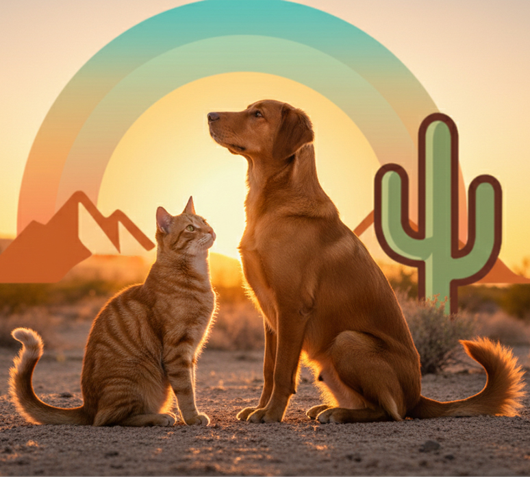Found Rescue has operated as a comprehensive lifeline for at-risk cats and dogs