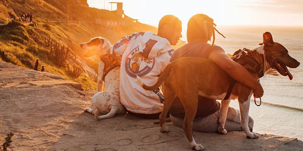 Emergency transport and critical veterinary care are our biggest expenses. Your Donation directly saves lives.