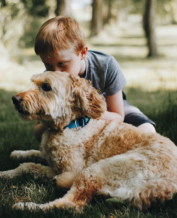 At Found Rescue, we believe every animal deserves to be Healed.