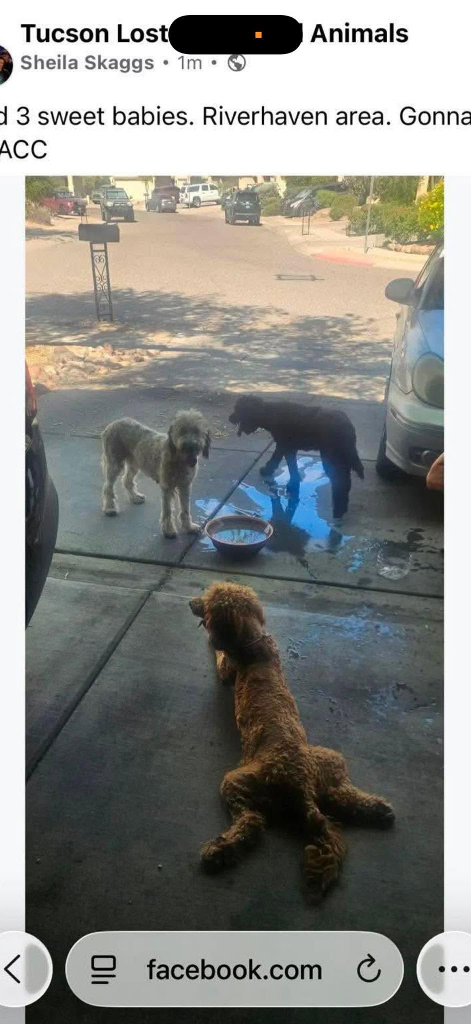 3 Missing